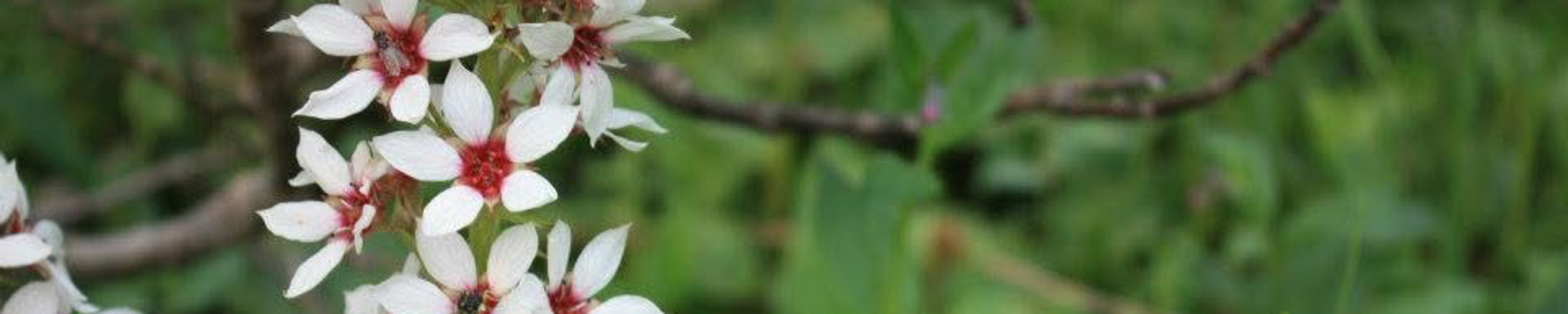 Cover for Dylan Cole Buettgenbach's Obituary