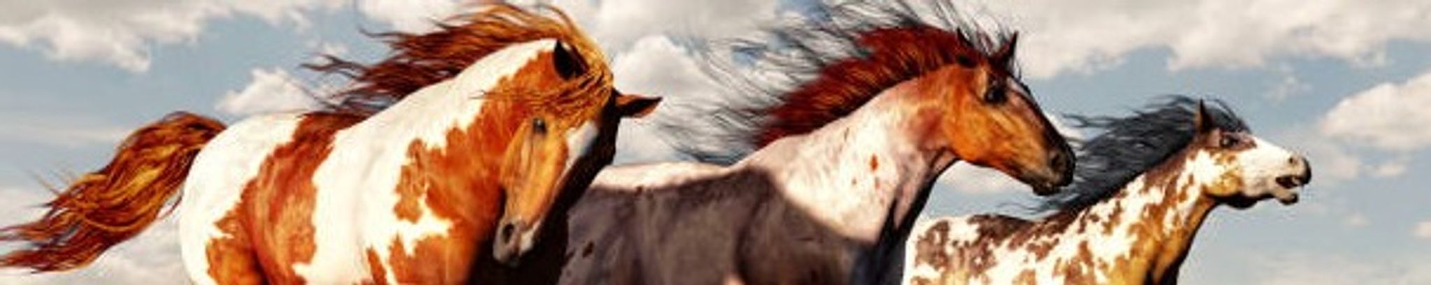 Cover for Connie O. Forte's Obituary