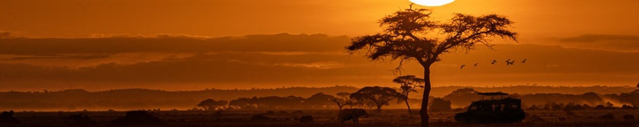 Cover for Dick Neal's Obituary