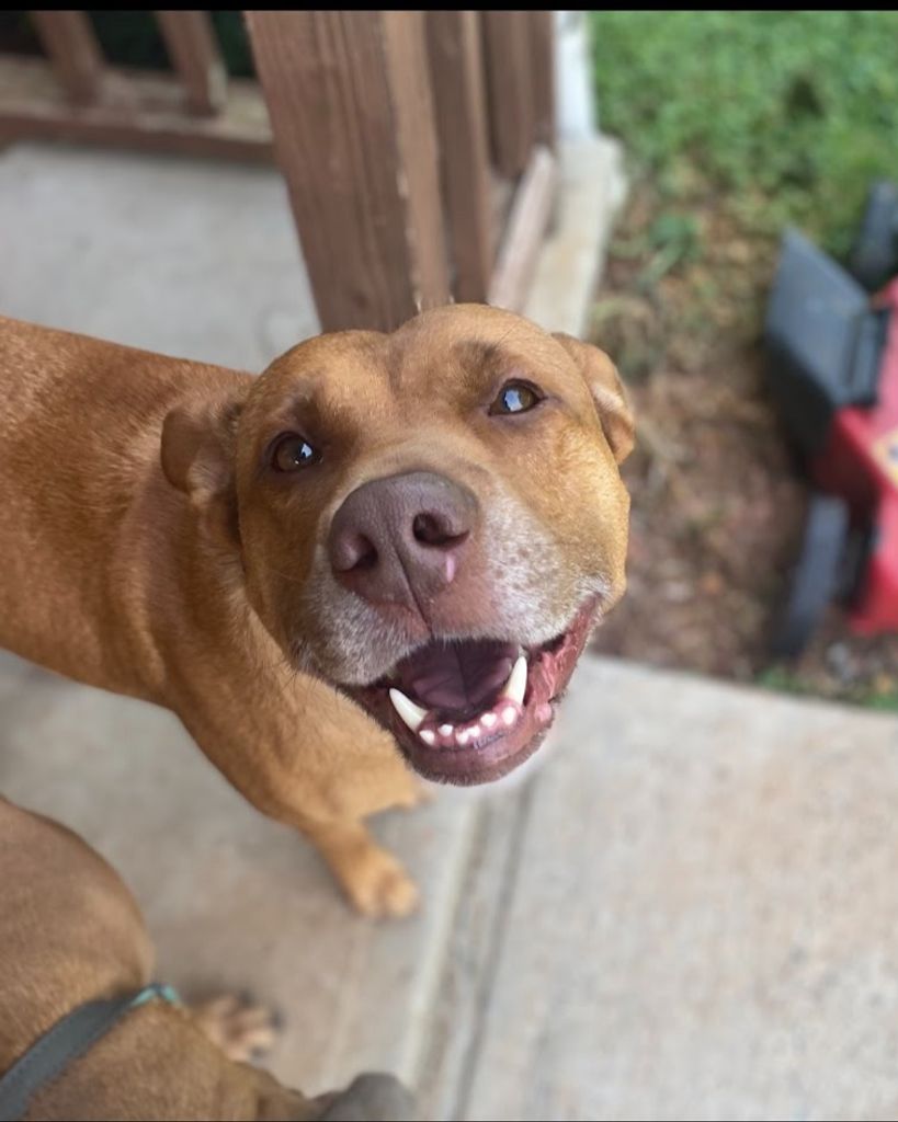 Hoss Jolly Profile Photo