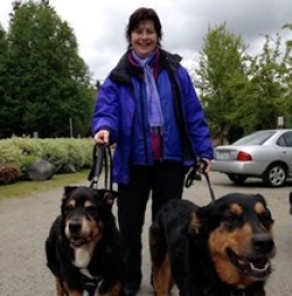 Dixie Golins Profile Photo