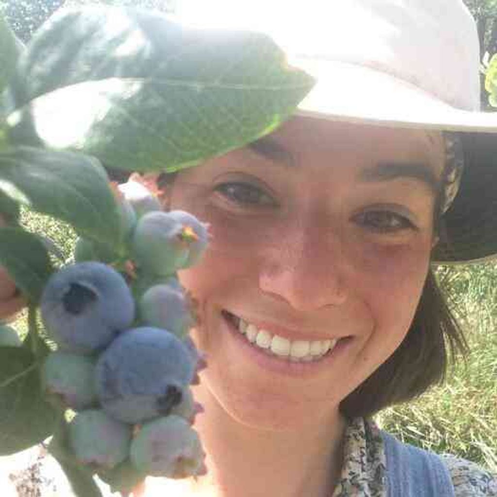 Katherine Perrotta Profile Photo