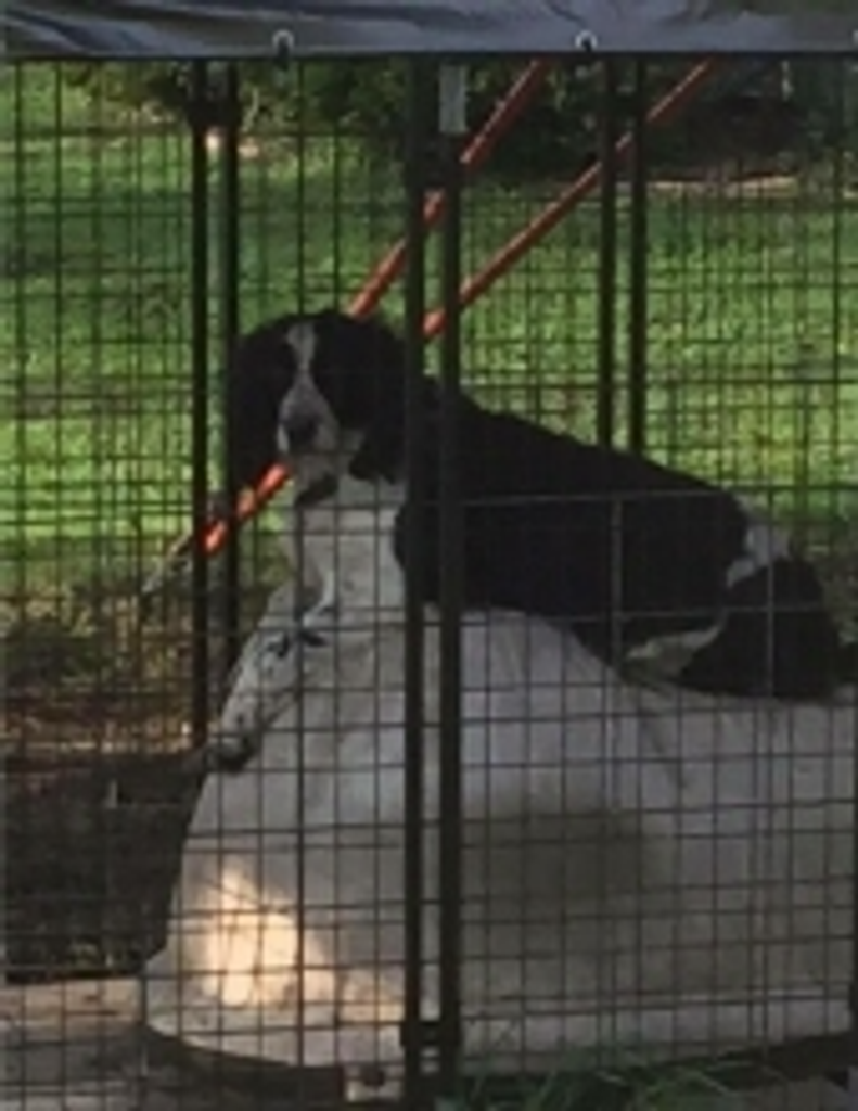 Belle Nelson Profile Photo