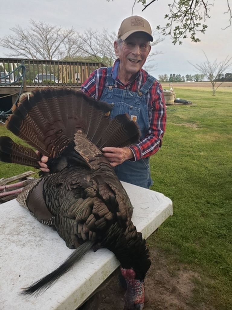 Jack Foister Lambert Profile Photo