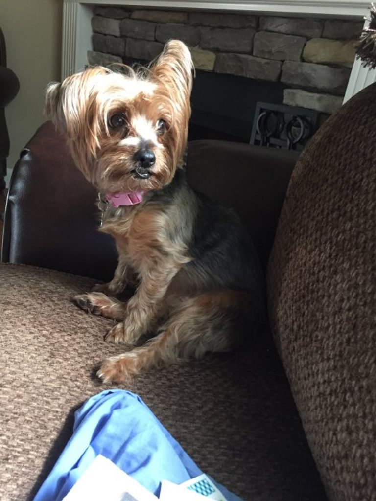 Cookie Geschwind