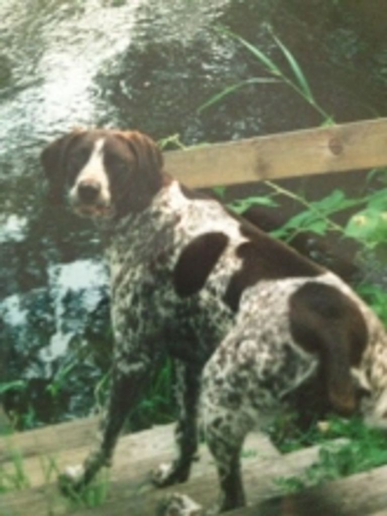 Mikki Dagen Profile Photo