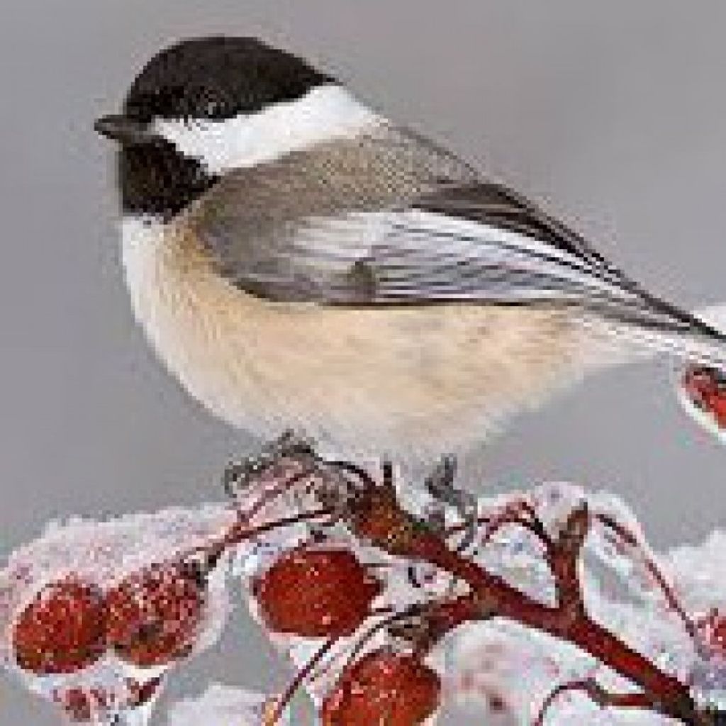 Betty Louise Staggers Profile Photo