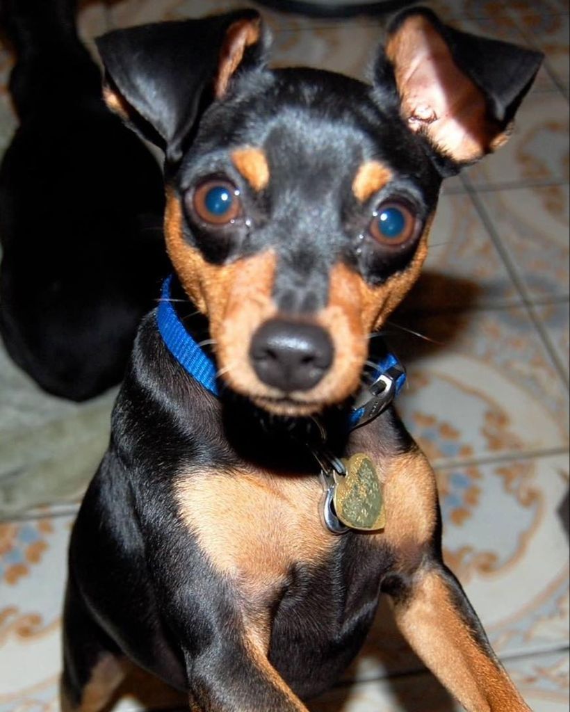 Archer Harrington Profile Photo
