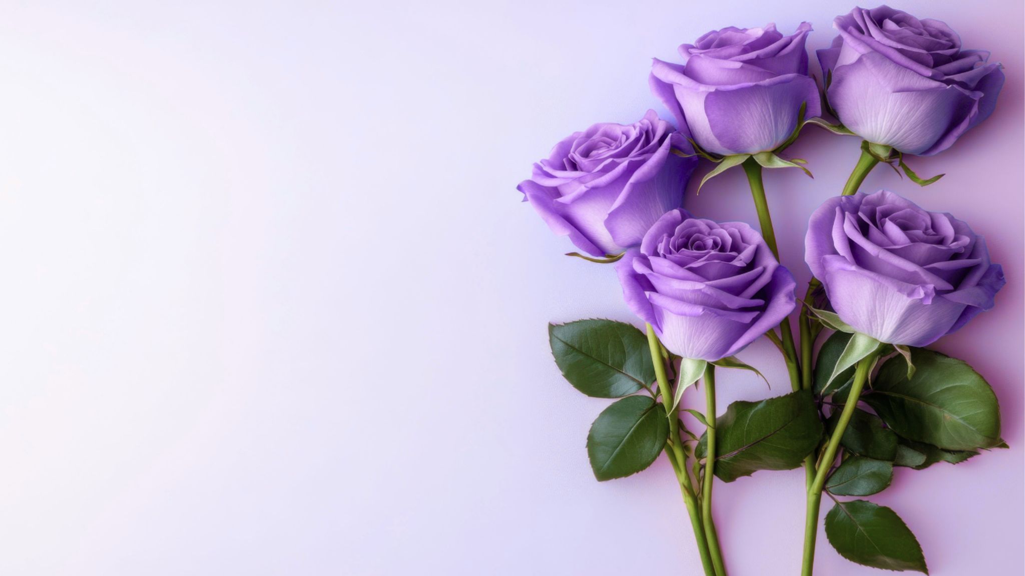 Cover for Rosita Noyola's Obituary