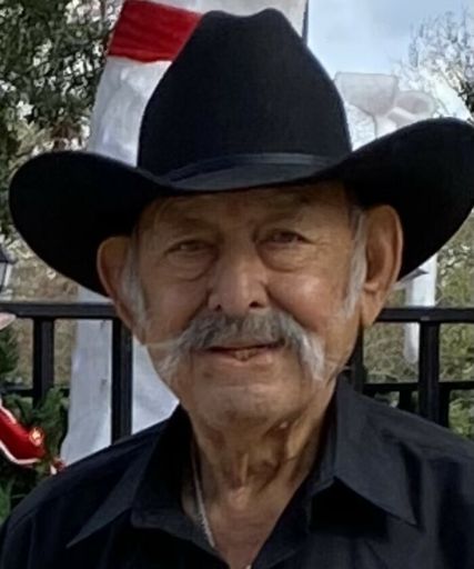 Guadalupe Cervantes Galvan photo gallery thumbnail 1 of 108