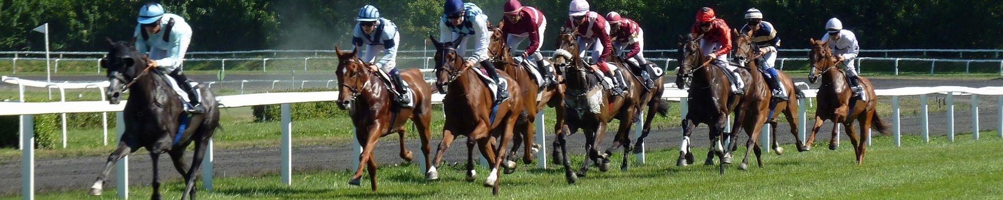 Cover for Frederick Cecil Goethe's Obituary