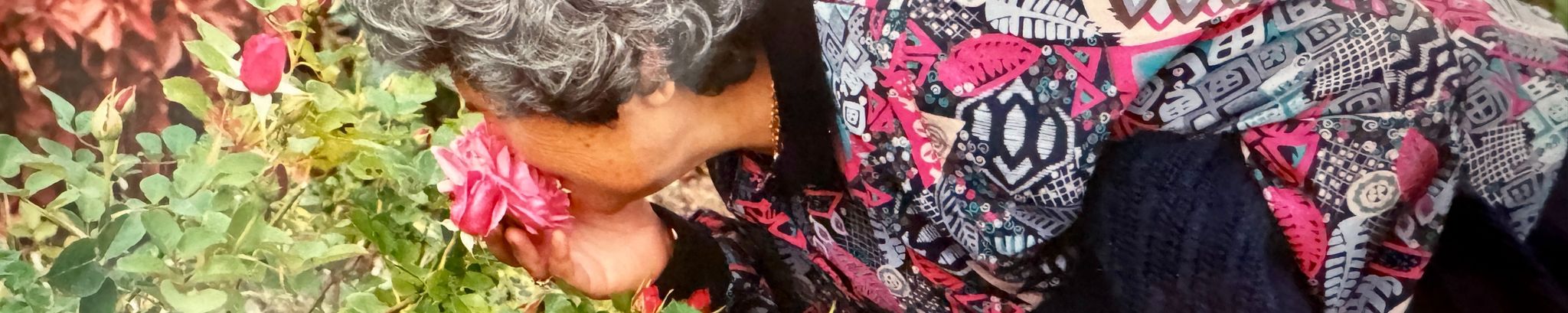 Cover for Akanoush Mehrabi's Obituary