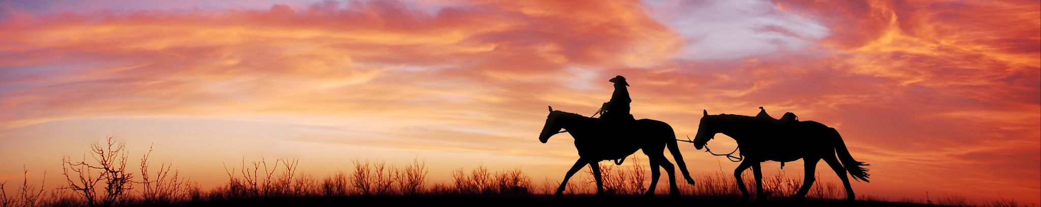 Cover for Warren Bryan McMichael's Obituary