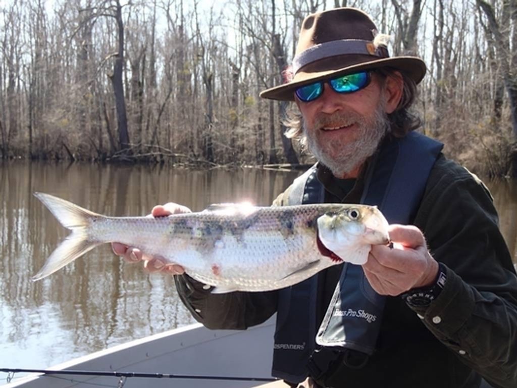 Joseph Noel Horne Profile Photo