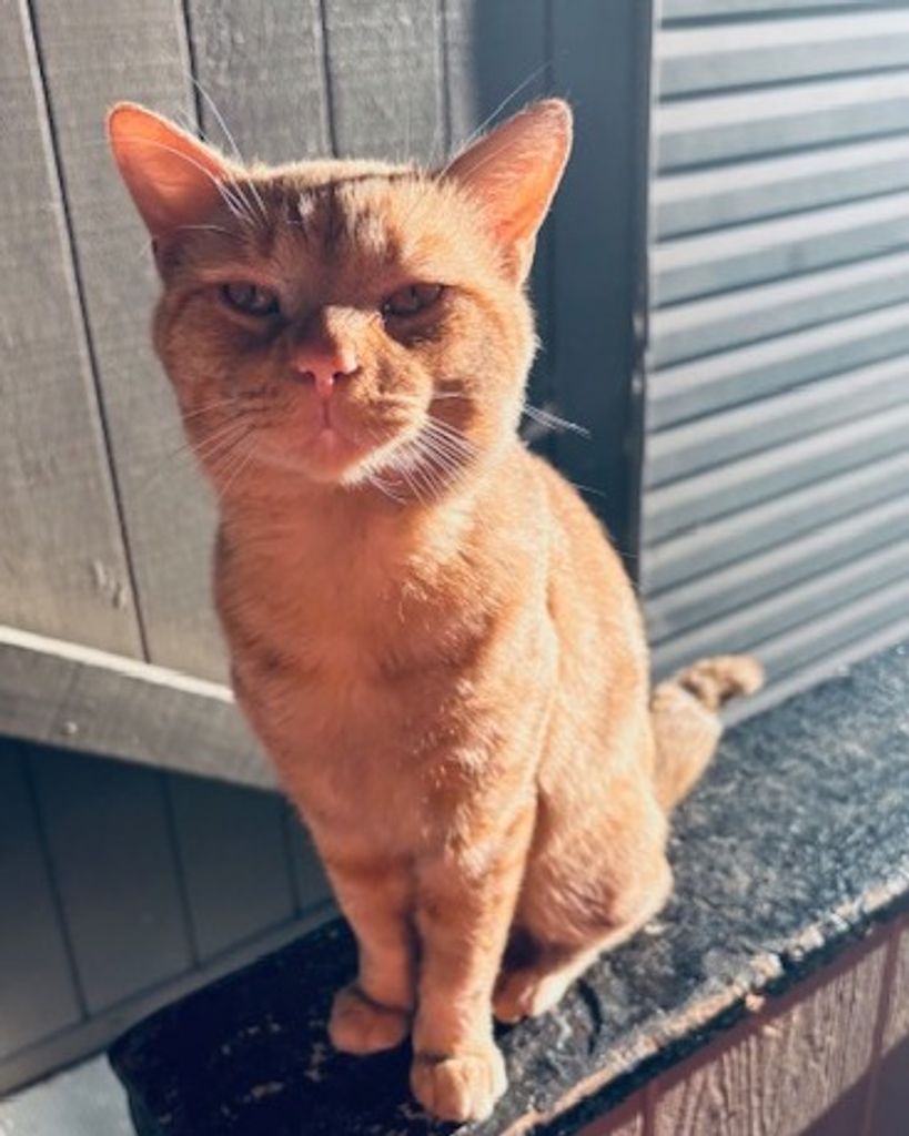 Oliver Queen Roark Profile Photo