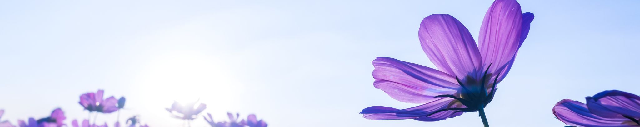 Cover photo for Deserae Rhonda (Martinez) Hernandez's Obituary