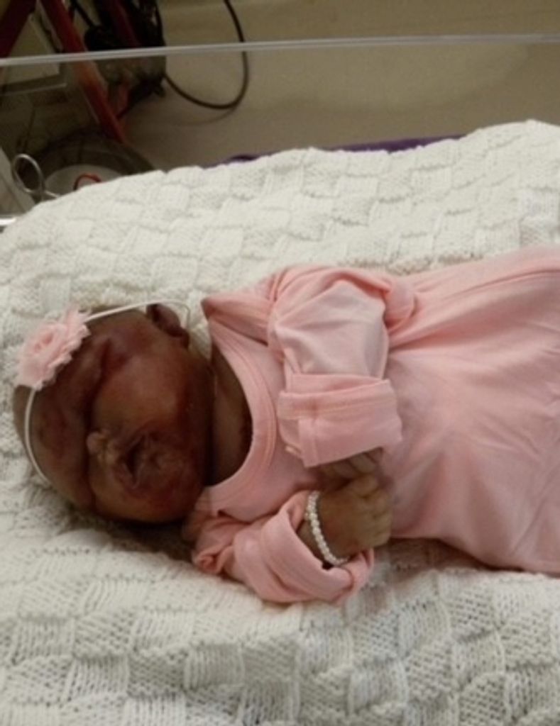 Paisley Elaine Grove