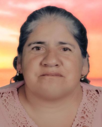 Esperanza Torres-Diaz's obituary image