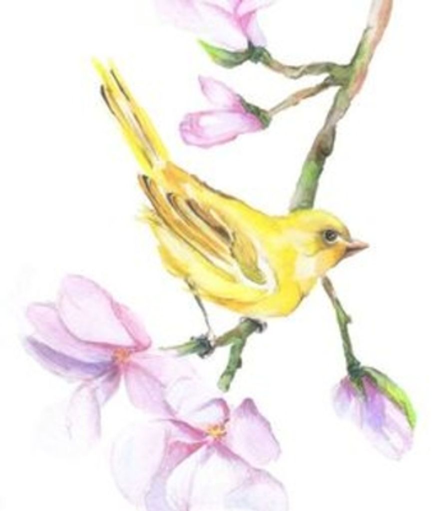 Bette L. Fick Profile Photo