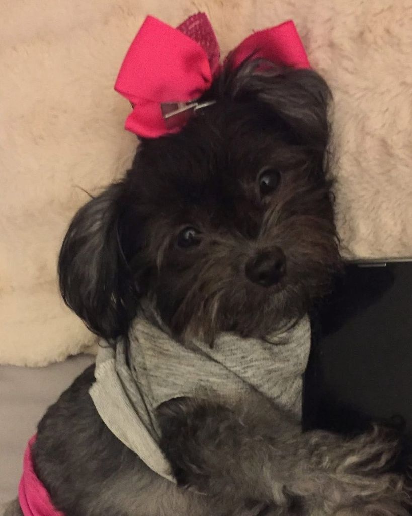 Poochie Galvan Profile Photo