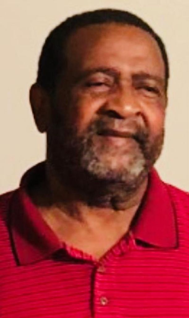 David Cuttino Profile Photo