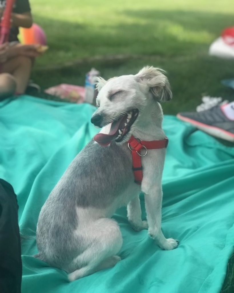 Hailey Quinones Profile Photo