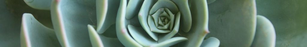 Cover photo for Beverely Ann Buckland's Obituary