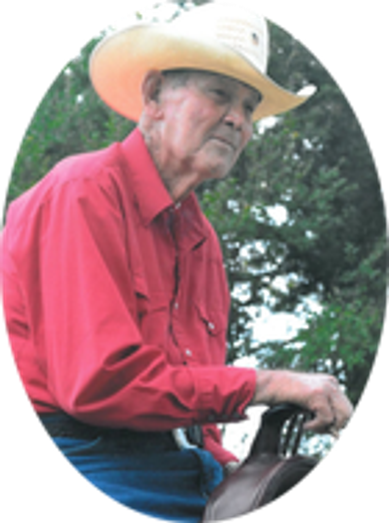 Bert Lee Emerson Jr