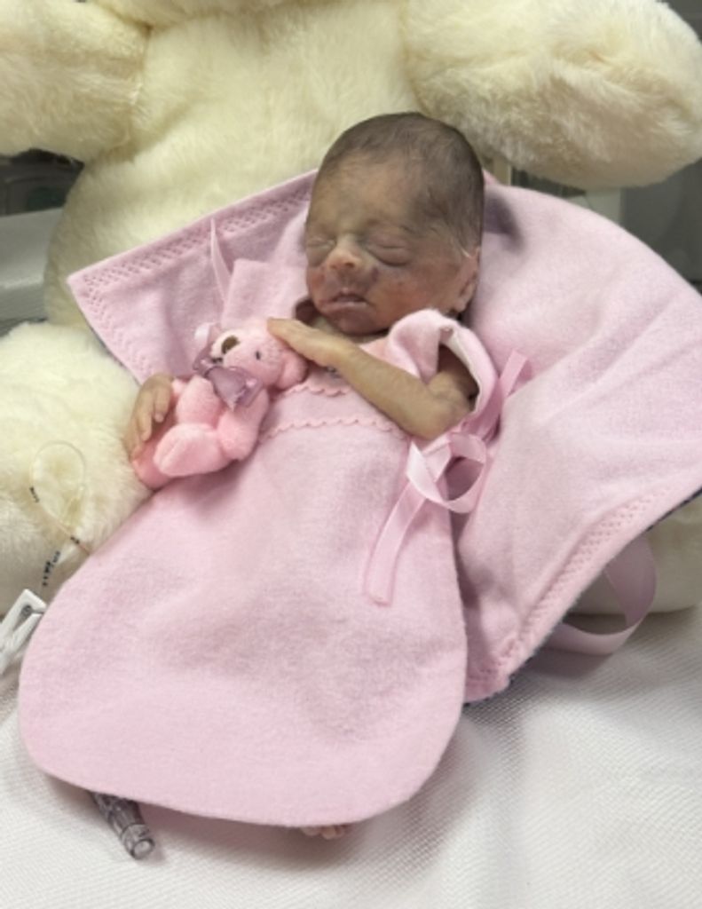 Anthonella Arce Flores Profile Photo