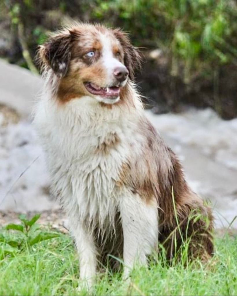 Barkley Nabours Profile Photo