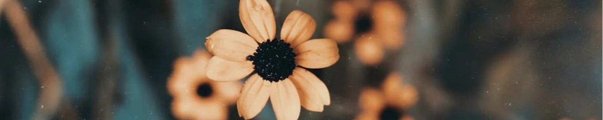 Cover photo for Marjorie Sharp Gainey's Obituary