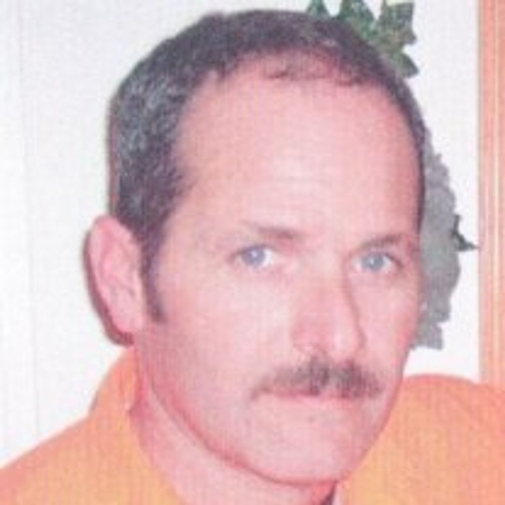 David Collins Profile Photo