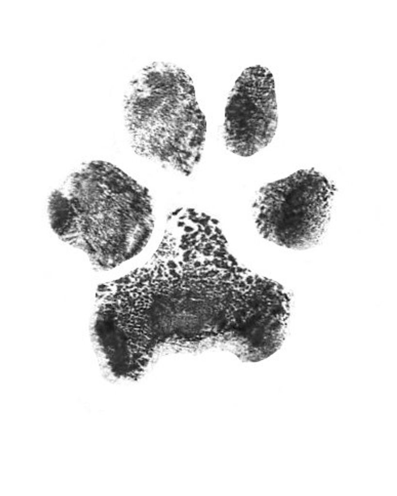 Harley Gooch Profile Photo