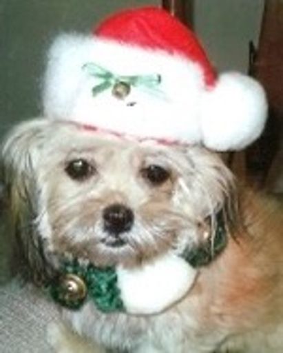 Debra Jeanne Sukup Profile Photo