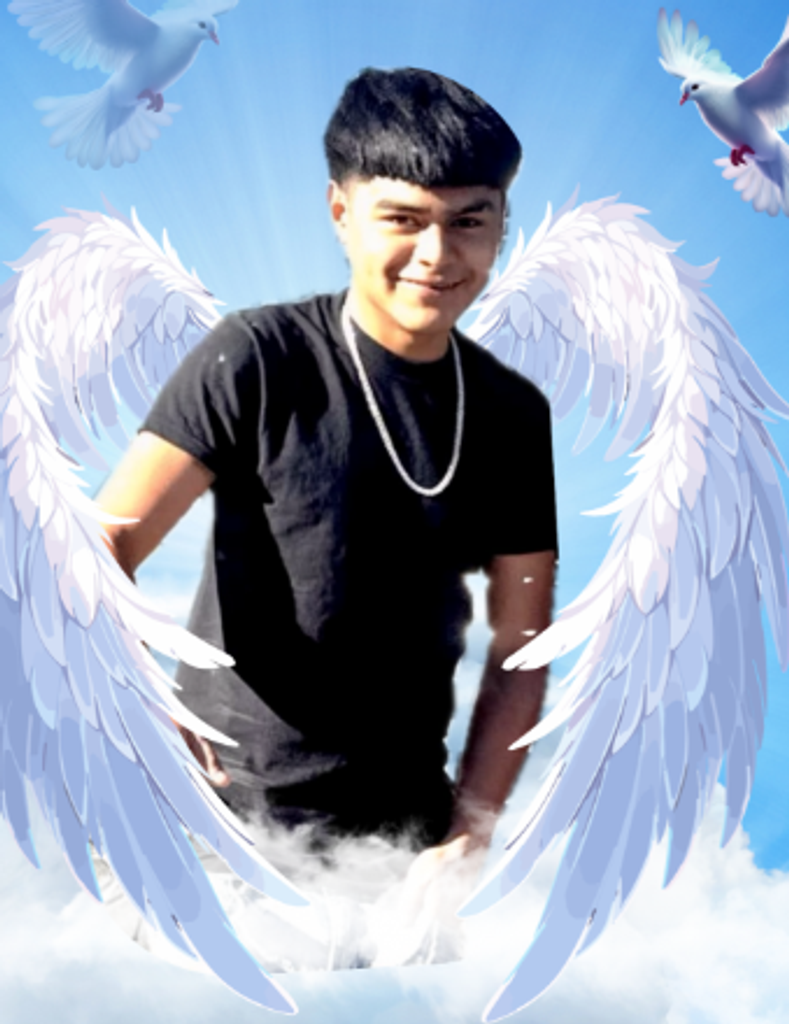 Gustavo Capetillo-Navejar