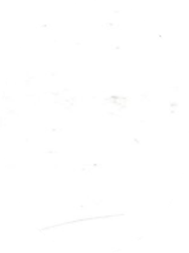 Joseph Polidoro Profile Photo