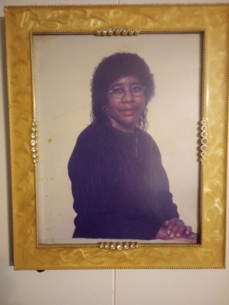Mrs. Fannie Jenkins Profile Photo