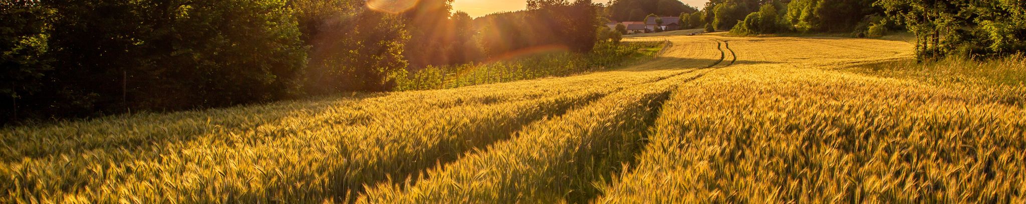 Cover for Bruce Paddock's Obituary