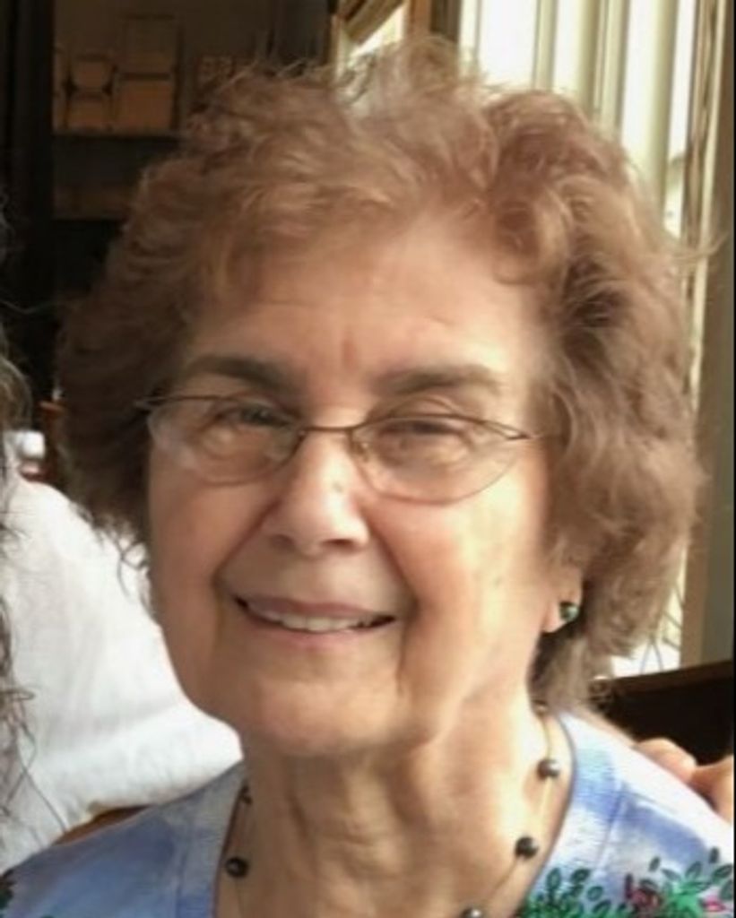 Ann D'Amico Profile Photo