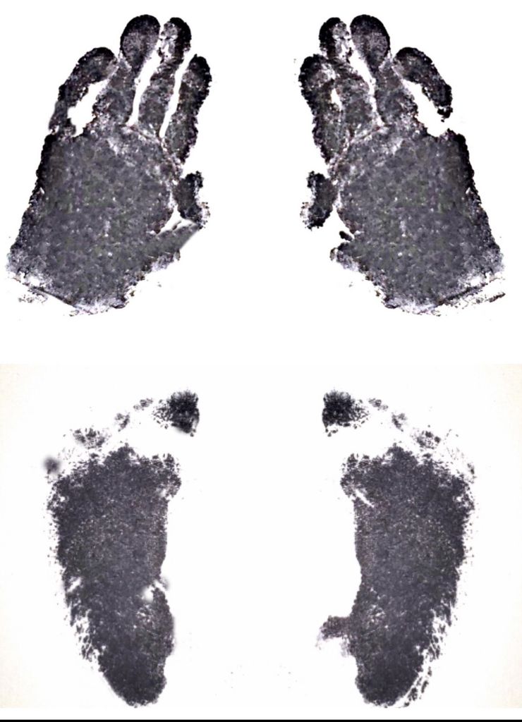 Carter Michael Hoffman