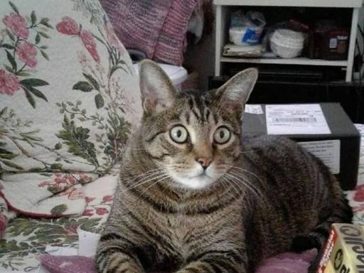 Ms Vilma Esther C Blanco Profile Photo