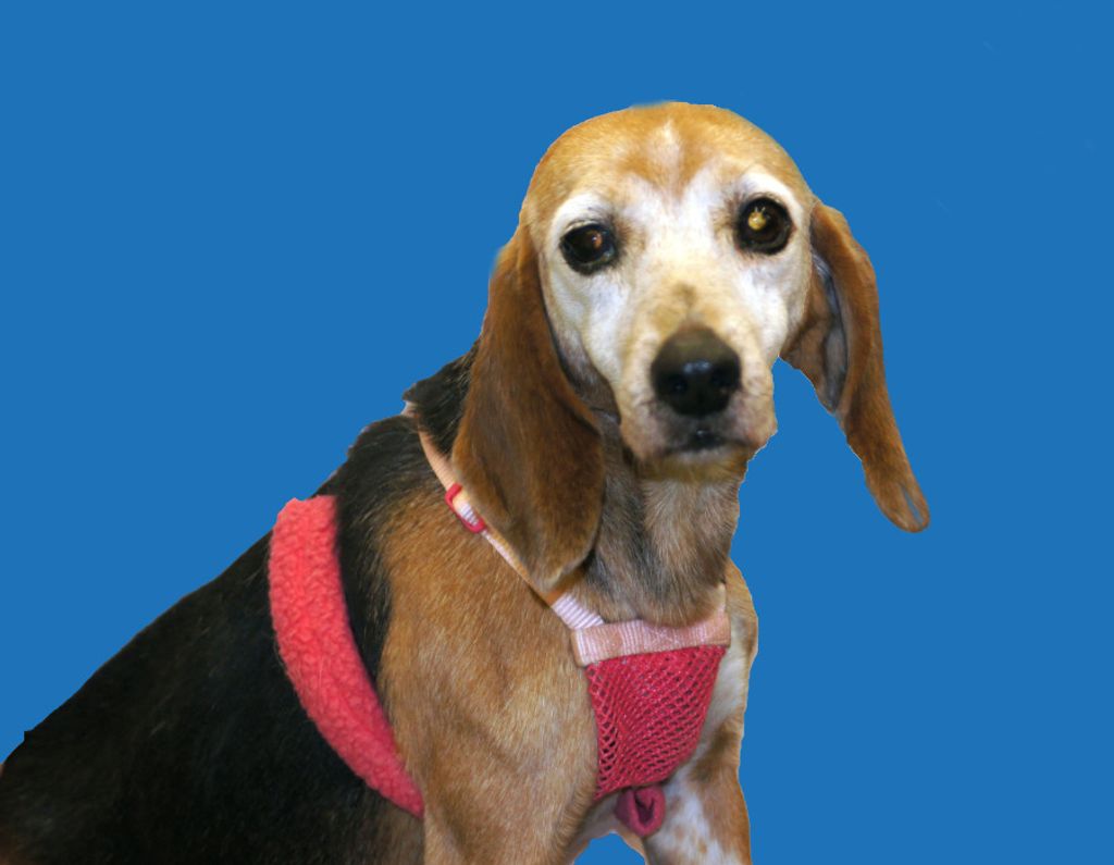 Molly Mae Profile Photo