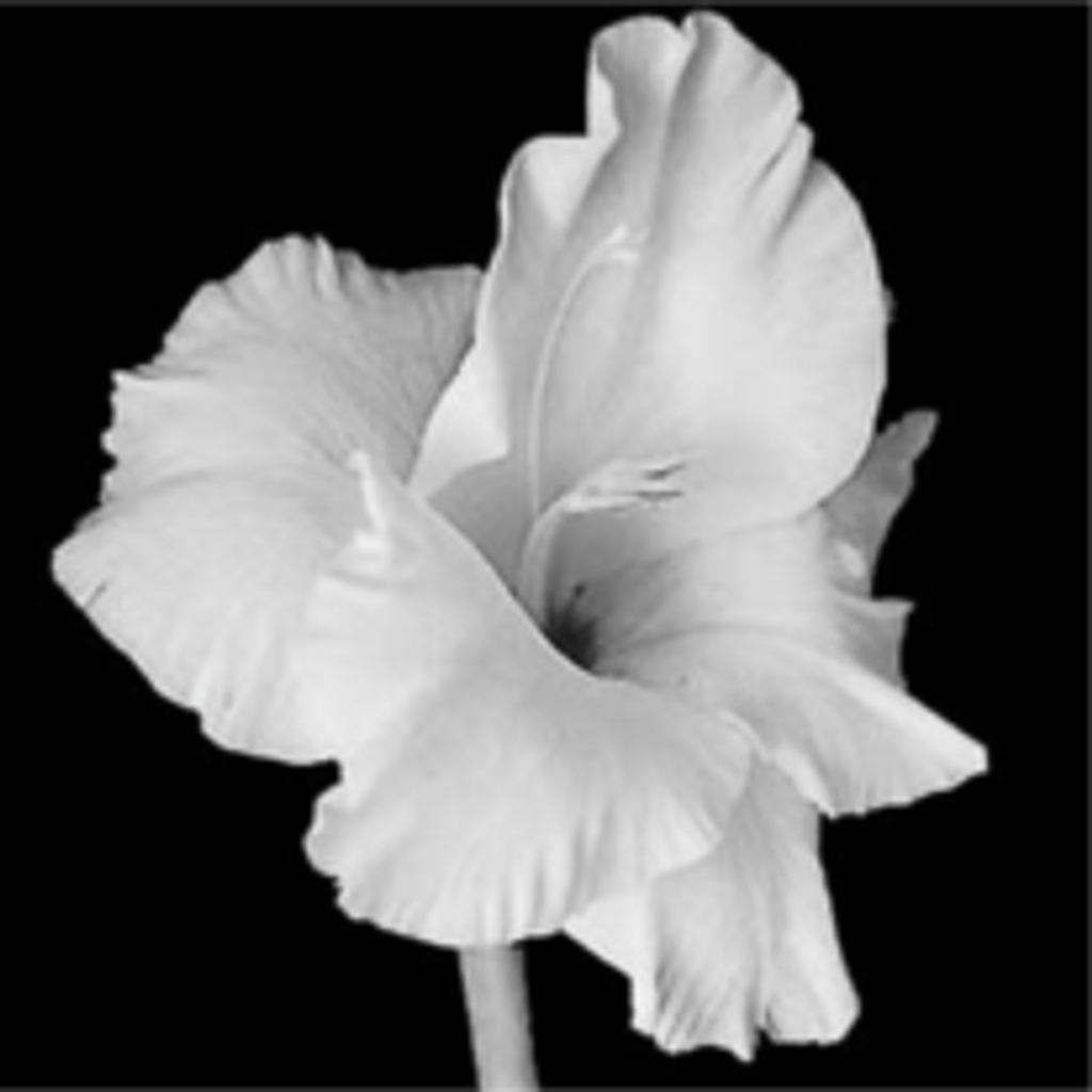 Patricia Fischer