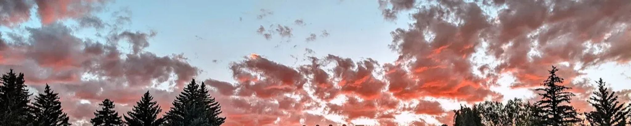 Cover for Gene House's Obituary