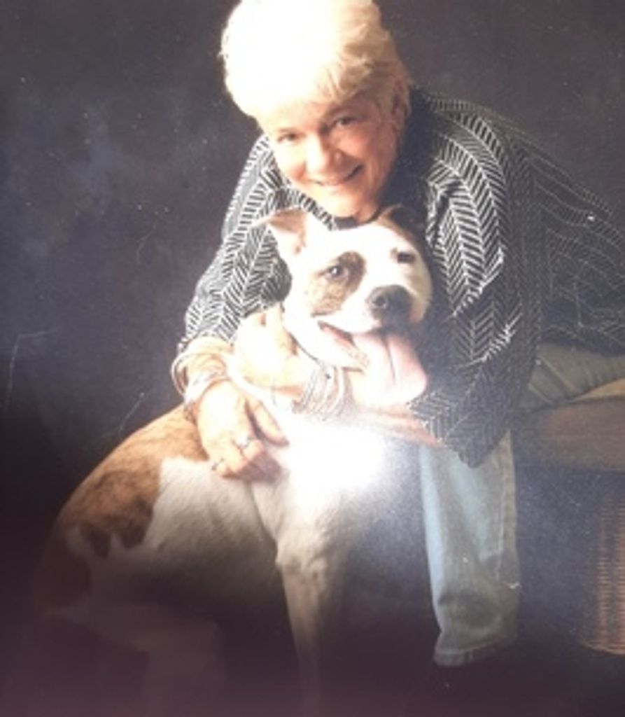 Dianne Persitza Profile Photo