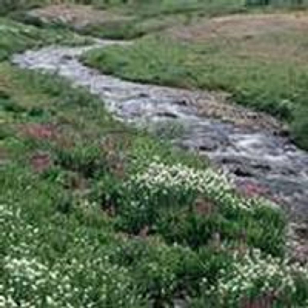 Robert Risch Profile Photo