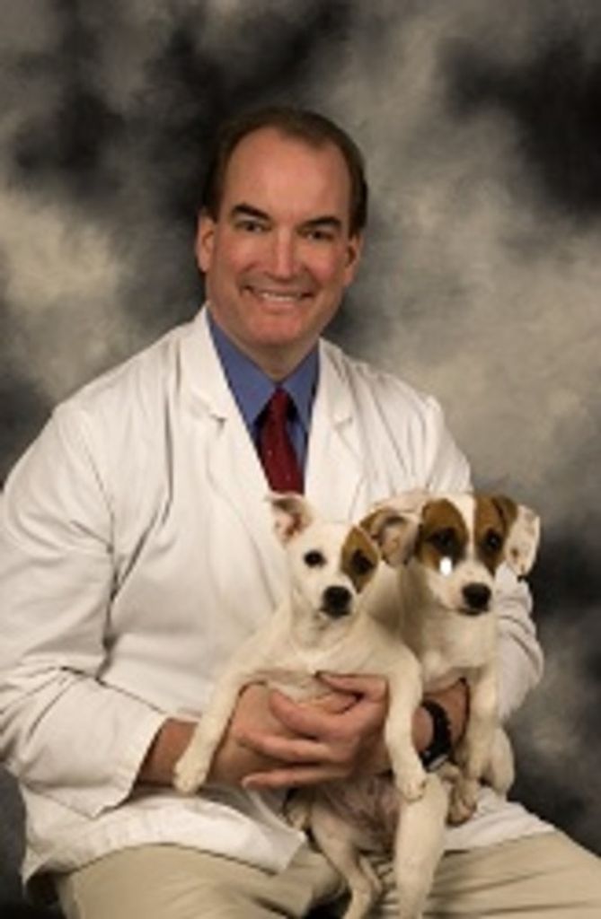 Joseph E. Kelley Profile Photo