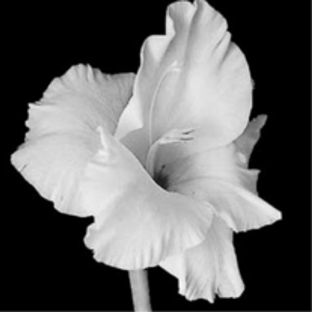 Mary Ratliff