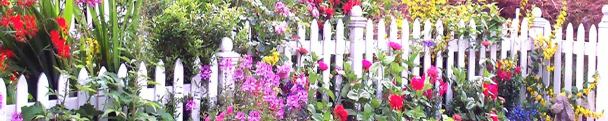 Cover photo for Margie Lou Dusek's Obituary
