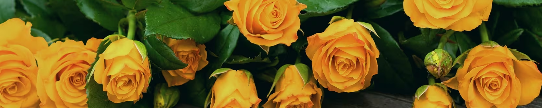 Cover for Gloria Eure Cartwright's Obituary